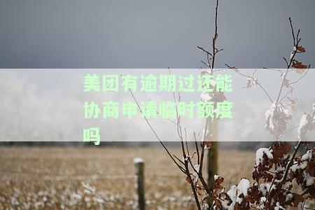 美团逾期了可以申请信用卡吗