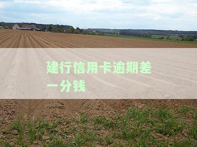 建行信用卡逾期1天的影响和利息