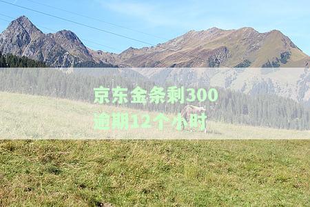 京东金条剩300逾期12个小时