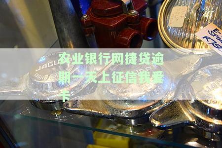 农行网捷贷逾期一次,还可以循环额度吗？