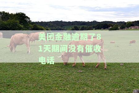 美团金融欠款10800,逾期两期,会上门走访核查吗安全吗，公安局找上门来怎么办？