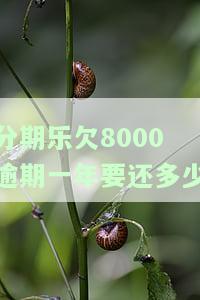 分期乐欠8000逾期一年要还多少