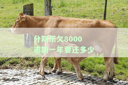 分期乐欠8000逾期一年要还多少
