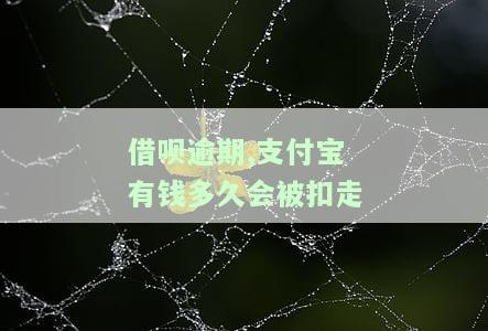 支付宝借呗逾期多久会让全额还上款