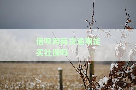 借呗网商贷逾期能买社保吗