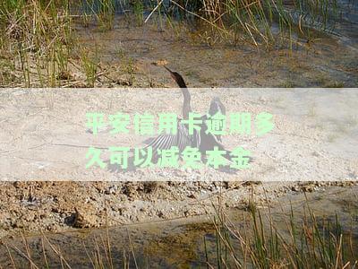 平安信用卡逾期多久可以减免本金还款？