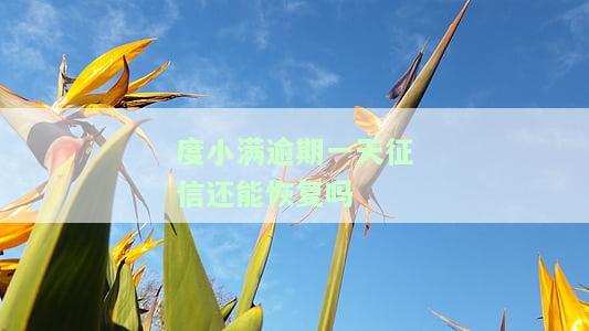 度小满逾期两天后还能借款吗，为什么突然人工审核，会有影响吗，几天还能再借吗，逾期1天会怎么样