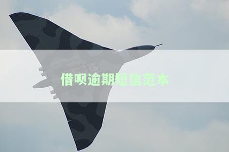 借呗逾期收到的短信内容及真实律师涵