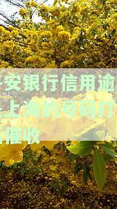 平安银行信用逾期是上海的号码打电话催收