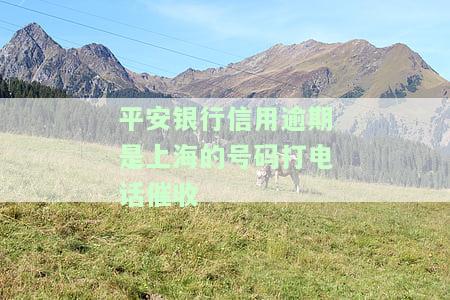 平安银行信用卡021催款电话是真的吗？