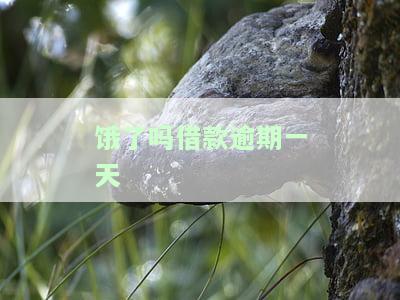 饿了吗借款逾期一天怎么办，是否上征信影响借钱？