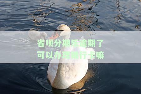 分期乐逾期不还会怎样，省呗逾期后果及征信影响?