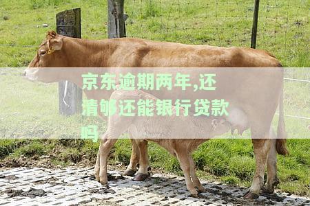 京东逾期两年,还清够还能银行贷款吗