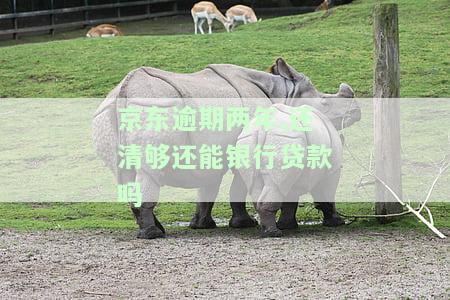 京东逾期两年,还清够还能银行贷款吗