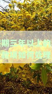 逾期三年以上的应付款项如何处理