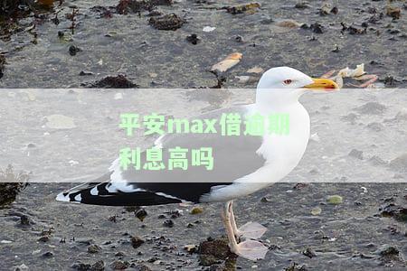 平安max借逾期利息高吗