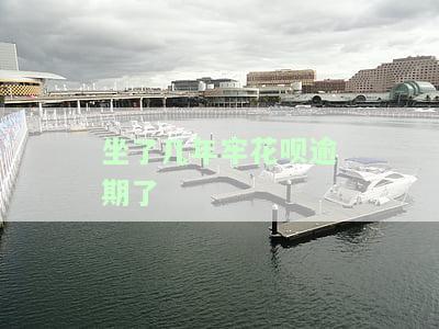 坐了几年牢花呗逾期了