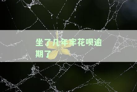 支付宝花呗逾期两年坐牢出来后如何解决还款问题?