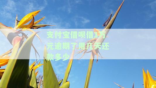 支付宝借呗借1万元逾期了用几天还款多少
