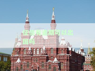 征信有逾期可以出国吗