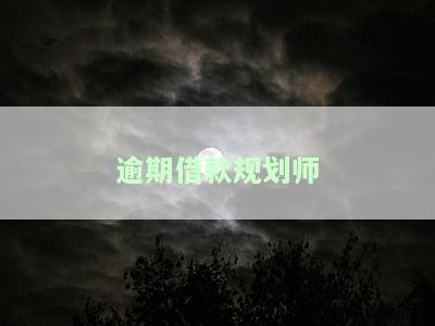 逾期借款规划师