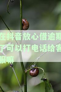 在抖音放心借逾期了可以打电话给客服嘛