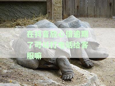在抖音放心借逾期了可以打电话给客服嘛