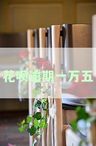 花呗逾期一万五