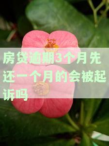 房贷逾期三个月突然都结清了会怎么样