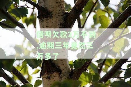 借呗欠款2万不到，逾期三年竟然三万多了怎么回事