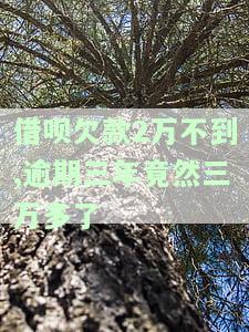 借呗欠款2万不到,逾期三年竟然三万多了
