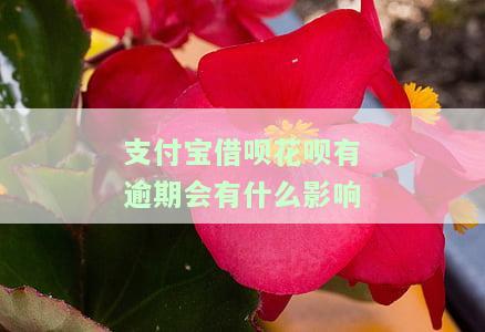 支付宝借呗花呗有逾期会有什么影响
