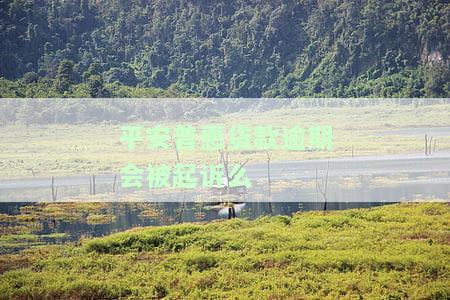 平安普贷款逾期会被起诉么