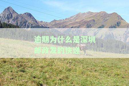 网贷逾期了从深圳邮过来的钱怎么办