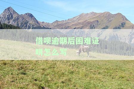 借呗逾期后困难证明怎么写