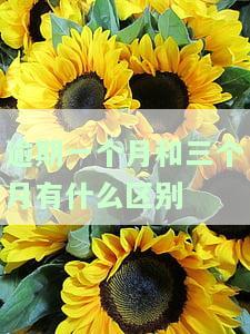 逾期一个月和三个月有什么区别
