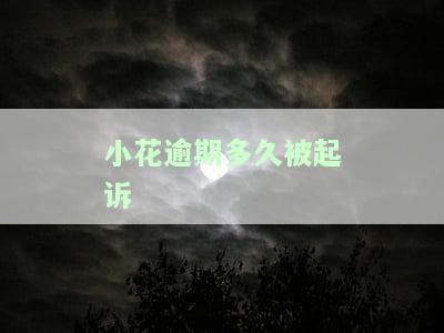 小花欠款逾期什么后果及处理方法