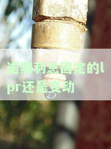 逾期利息固定的lpr还是变动