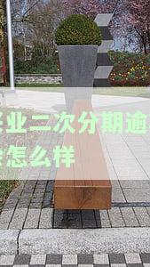 兴业二次分期逾期会怎么样处理及要求