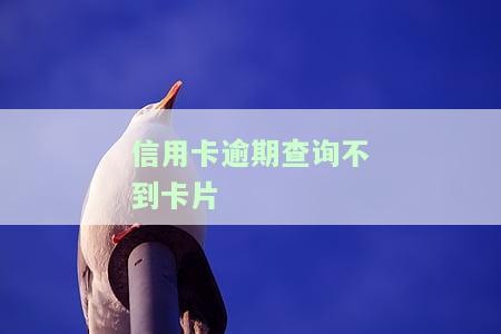 信用卡逾期查询不到卡片
