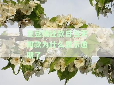 豆豆钱还款日会自动扣款吗？