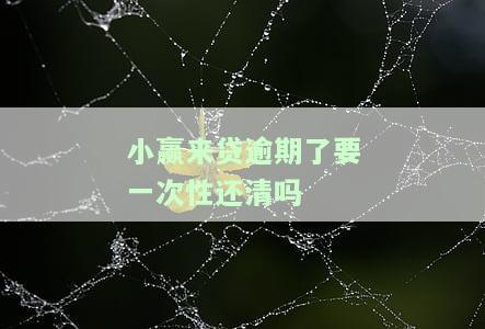 小赢来贷逾期了要一次性还清吗
