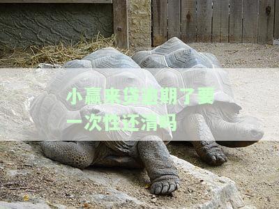 小赢来贷是正规平台吗，安全吗？小赢借贷怎么样？