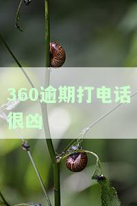 360逾期不还,但接电话,还会给通讯录的人打电话吗？逾期接了电话会怎么样？逾期多久不接电话会上网通缉吗？
