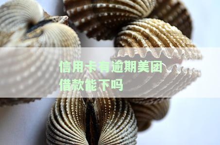 美团逾期了可以申请信用卡吗，知乎怎么办，安全吗？
