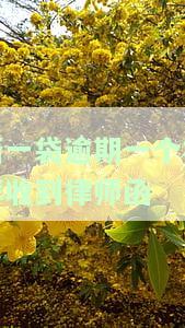 新一袋逾期一个礼拜收到律师函