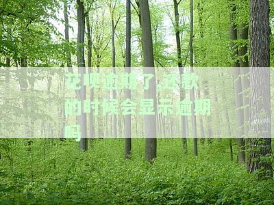 花呗逾期了,还款的时候会显示逾期吗