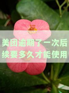 美团逾期了一次后续要多久才能使用