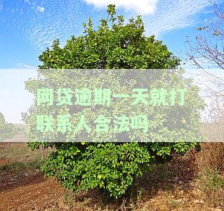 网贷逾期一天就打联系人合法吗是真的吗