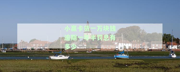 小赢卡贷逾期一年了不还了会怎么样
